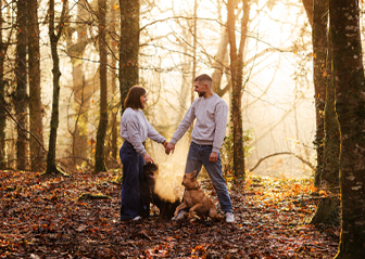 séance photo chien rottweiler brest finistère bretagne léa mains photographie