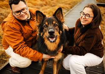 photographe animalier chien altdeutscher schäferhund finistère bretagne