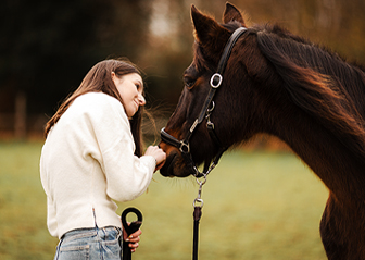 poney connemara photographe équin bretagne