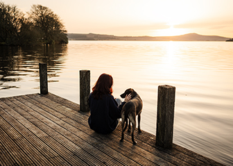 photographie canine léa mains brest finistère bretagne chien monts d'arrée