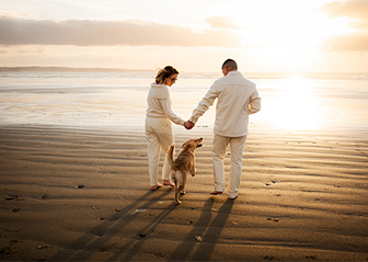 photographe animalier chien plage bretagne finistère brest