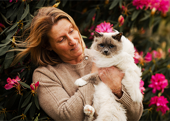 photographe animalier chat sacré de birmanie finistère bretagne