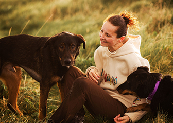 photographie canine chien bretagne finistère