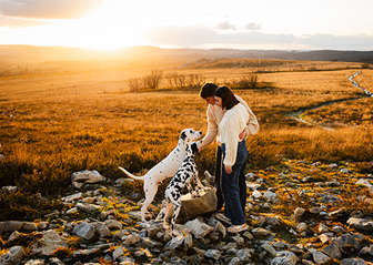 photographe canin chien chiot dalmatien séance photo brest finistère bretagne