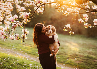 photographe animalier chiot berger australien magnolia brest bretagne
