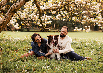 photographe animalier chien berger australien morbihan bretagne