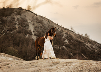 photographe équin cheval bretagne léa mains
