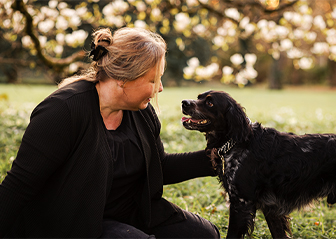 séance photo chien épagneul breton léa mains photographie morbihan bretagne