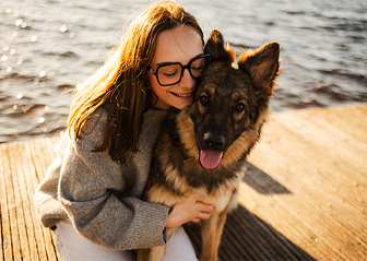 séance photo berger allemand berger blanc suisse finistère brest