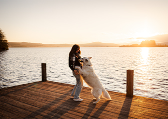 séance photo chien berger blanc suisse brest bretagne