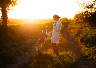 photographe canin séance photo chien brest finistère bretagne