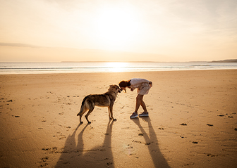 photogrpahe canin chien loup tchecoslovaque bretagne finistère