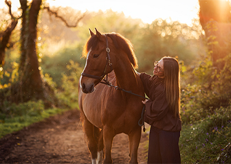 photographe équin séance photo poney français de selle brest finistère bretagne