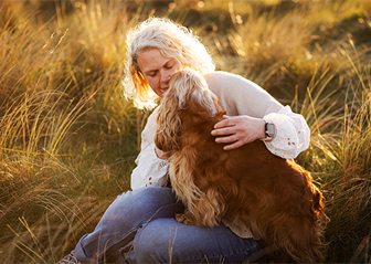 photographe canin bretagne finistère brest chien cocker