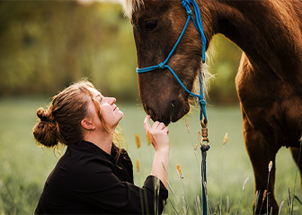 photographe équin cheval poulain ille-et-vilaine bretagne rennes