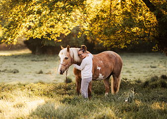 photographe équin cheval paint horse bretagne finistère brest