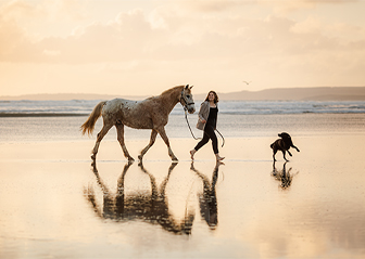 séance photo cheval chien plage finistère bretagne léa mains