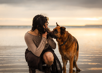 photographe chien berger allemand brest finistère bretagne