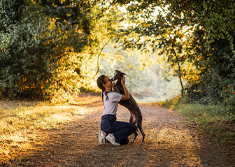 photographe animalier chien whippet bretagne finsitère brest