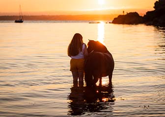 séance photo poney shetland finistère bretagne
