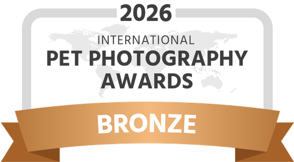 IPPA 2026 Bronze Award