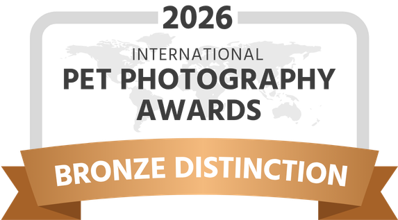 IPPA 2026 Bronze Distinction