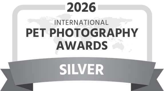 IPPA 2026 Silver Award