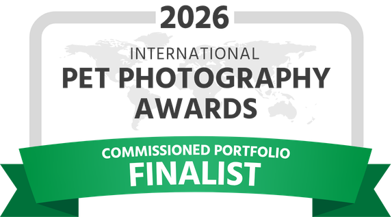 IPPA 2026 Finalist Commissioned Portfolio