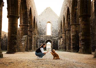 séance photo chien cocker finistère photographe animalier